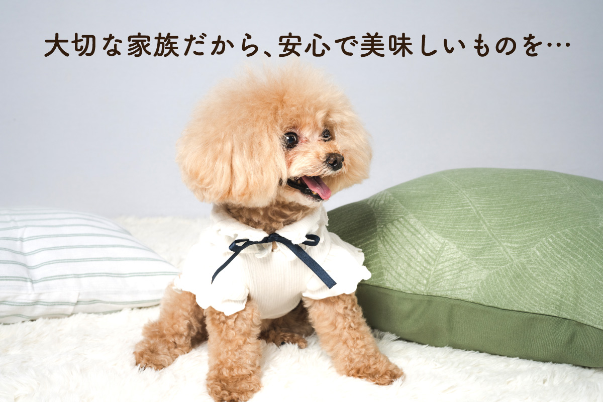 ワンちゃんのおやつ 豚｜ムッシュ マスノ アルパジョン