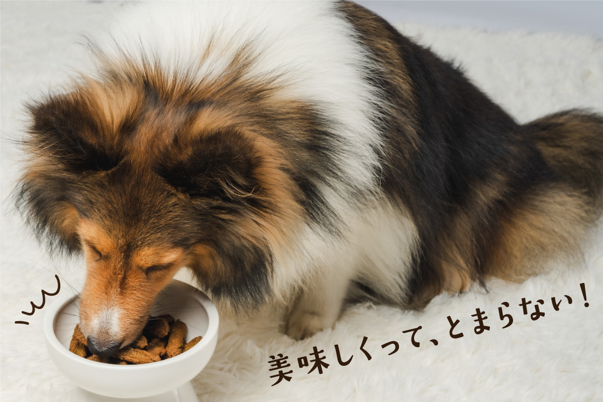 ワンちゃんのおやつ 豚｜ムッシュ マスノ アルパジョン