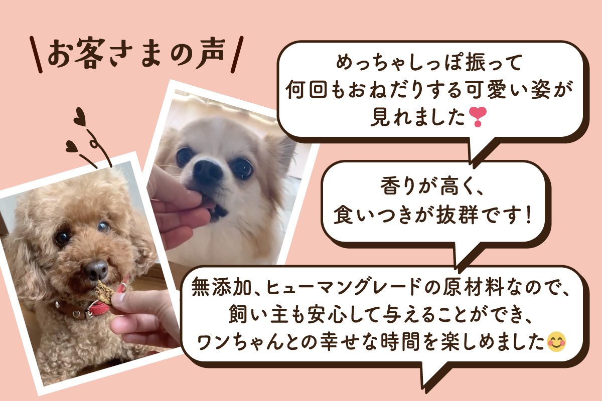 ワンちゃんのおやつ 豚｜ムッシュ マスノ アルパジョン