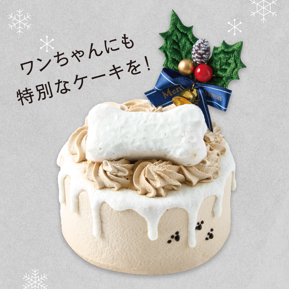 【店舗受取予約】わんちゃんのケーキ（犬用ケーキ）【2025クリスマス予約】